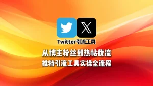 从博主粉丝到热帖截流：Twitter引流工具实操全流程