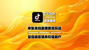 TikTok营销系统：中东市场直播截流玩法，全自动采集高价值客户