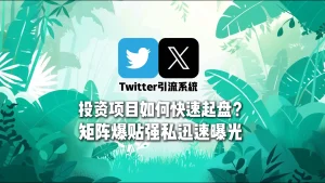 投资项目如何快速起盘？Twitter引流系统矩阵爆贴强私迅速曝光