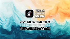 2026最强TikTok推广软件精准私信高效获客系统