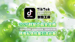 2026年TikTok群发工具全攻略精准私信批量引流必备