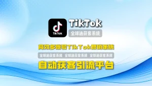 高效多账号TikTok营销系统自动获客引流平台