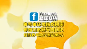 Facebook精聊系统：单号单环境指纹隔离+多窗口多账号自动化，矩阵养号稳定率超95%