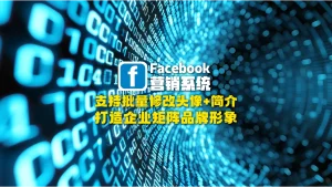 Facebook营销系统：支持批量修改头像+简介，打造企业矩阵品牌形象