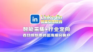 Linkedin领英引流软件：智能采集+行业定向，直切你想要的蓝海细分客户