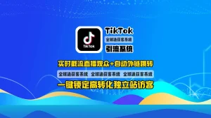 TikTok引流系统：实时截流直播观众+自动外链跳转，一键锁定高转化独立站访客