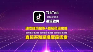 TikTok引流软件：动态环境切换+强制私信功能，直接开发精准买家线索