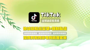 TikTok群发系统：协议级粉丝采集+强制私信，深度开发跨境电商精准买家