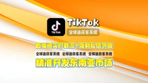 TikTok营销工具：直播间实时截流+强制私信外链，精准开发东南亚市场