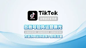 TikTok营销系统：多账号矩阵运营曝光，为海外网站持续导入自然流量