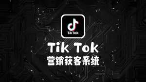 TikTok营销获客系统