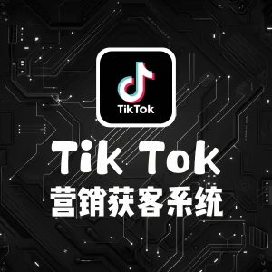 TikTok营销获客系统