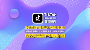 TikTok营销软件：协议采集同行粉丝+精准数据过滤，深挖竞品客户核心价值