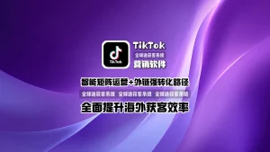TikTok营销软件：智能矩阵运营+外链强转化路径，全面提升海外获客效率