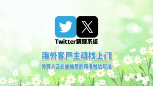 Twitter精聊系统：海外客户主动找上门？外贸人正在偷偷用的精准触达玩法