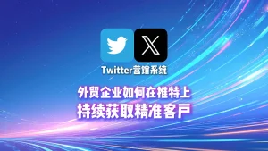 Twitter营销系统：外贸企业如何在推特上，持续获取精准客户