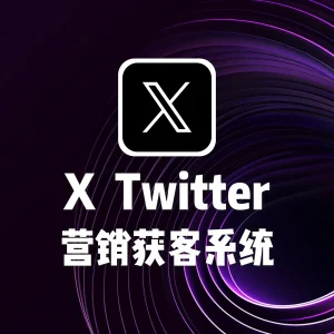 Twitter营销获客系统