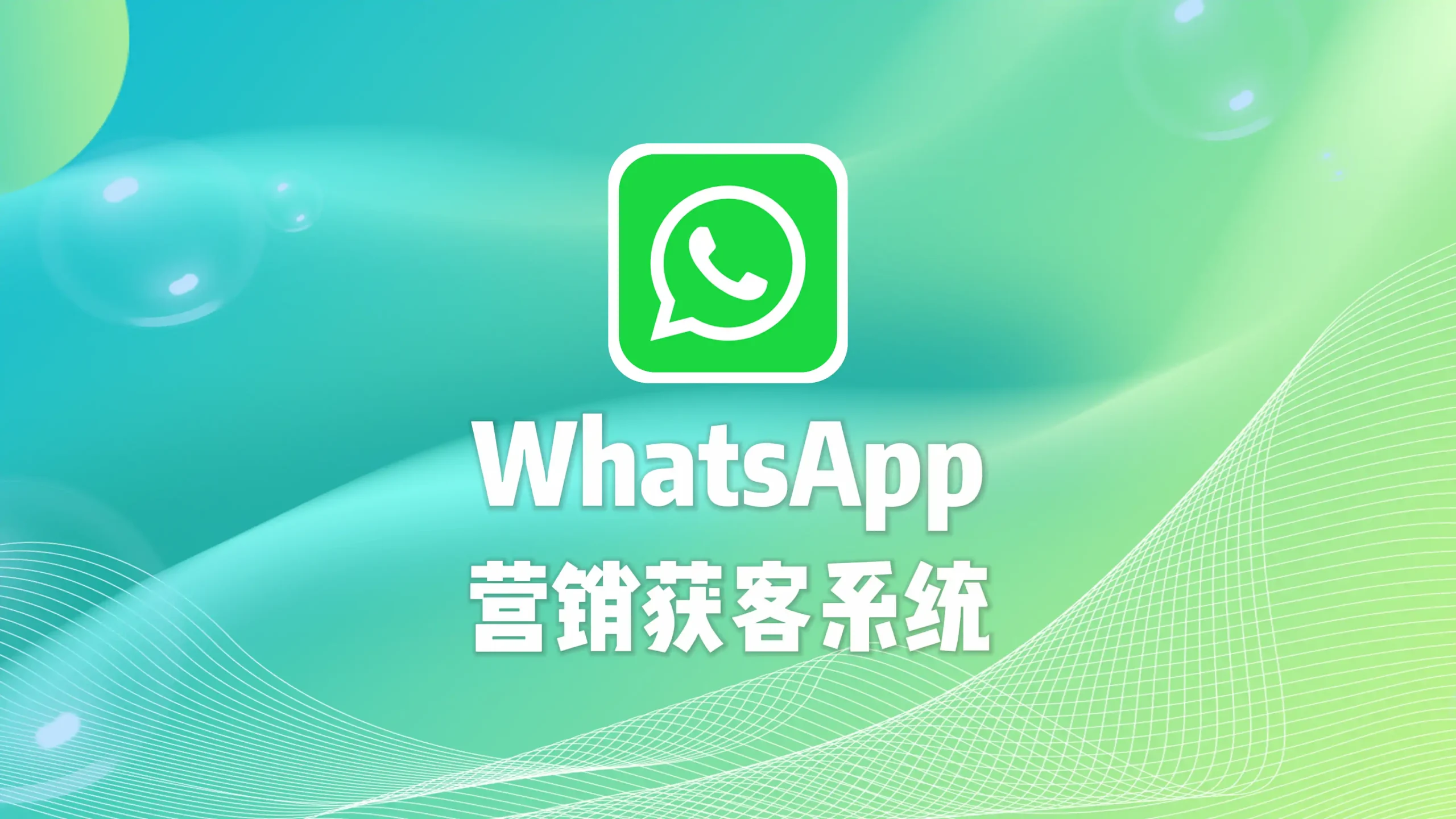 WhatsApp营销获客系统