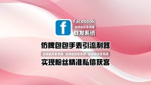 仿牌包包手表引流利器：facebook群发系统实现粉丝精准私信获客