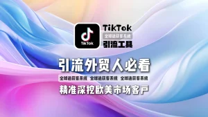 外贸人必看！TikTok引流工具如何精准深挖欧美市场精准客户