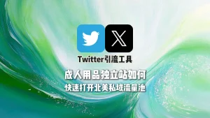 成人用品独立站如何用Twitter引流工具快速打开北美私域流量池