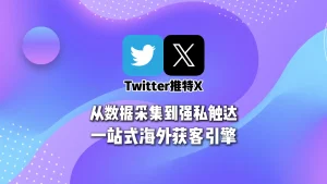 推特X营销系统：从数据采集到强私触达，一站式海外获客引擎