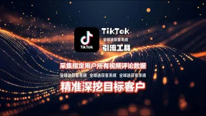 精准深挖目标客户！TikTok引流工具采集指定用户所有视频评论数据，挖掘潜在商机