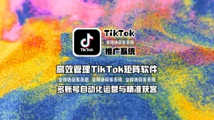 高效管理TikTok矩阵软件 多账号自动化运营与精准获客